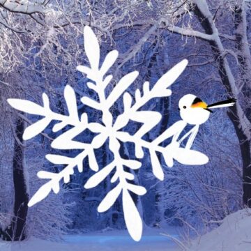 SNOW BLUE