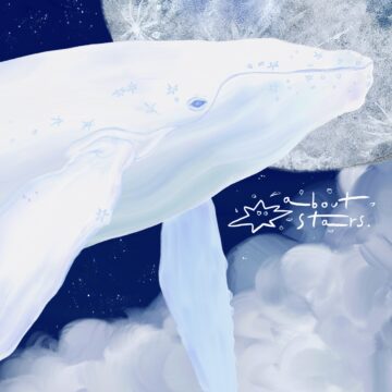海の近くの星空屋さん - about stars. -